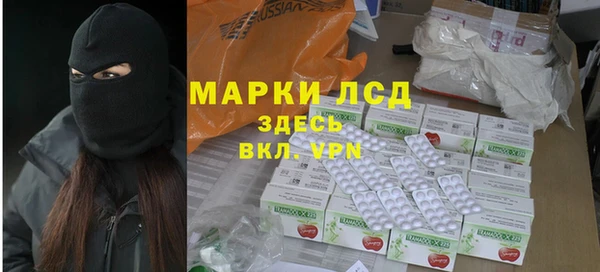 шишки Белоозёрский