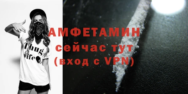 шишки Белоозёрский