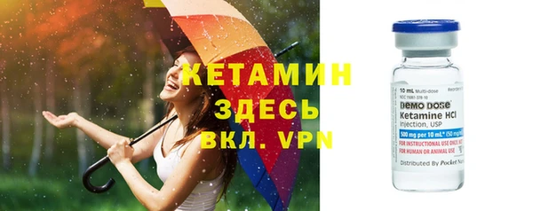 шишки Белоозёрский