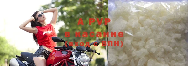 шишки Белоозёрский