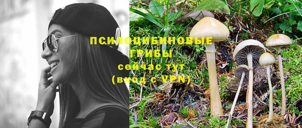 бутират Белокуриха