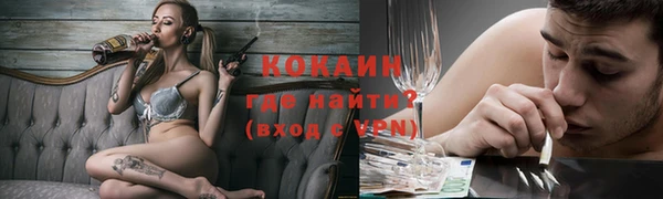шишки Белоозёрский