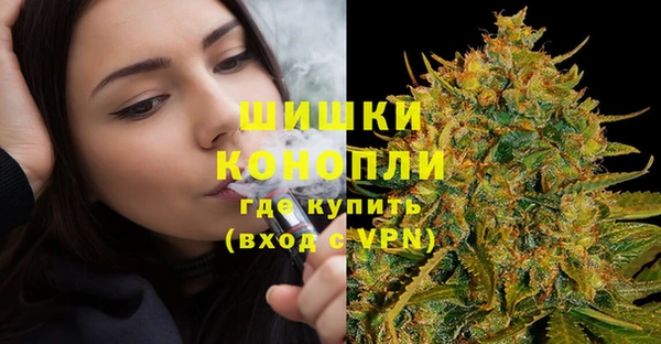 шишки Белоозёрский
