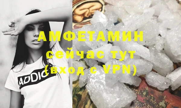 шишки Белоозёрский