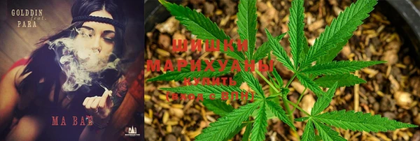 бутират Белокуриха