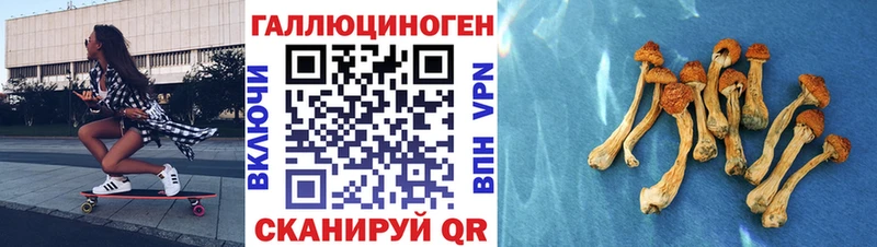 Псилоцибиновые грибы Psilocybe  Бородино 